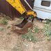 Buldoexcavator de vanzare zona Militari.